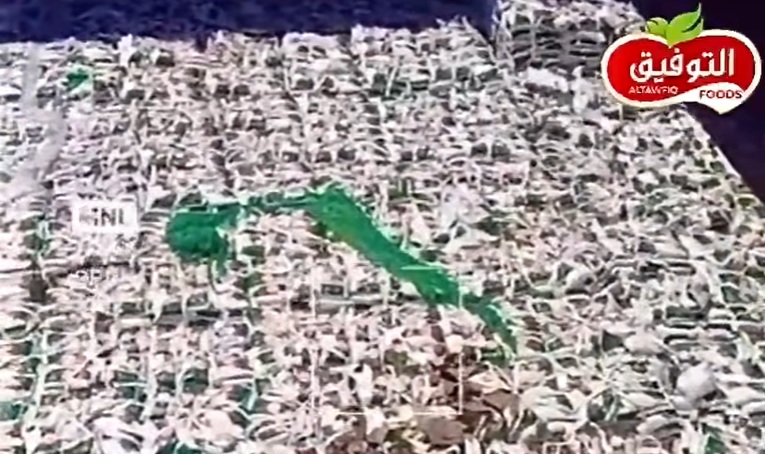 وصول شحنة أرز التوفيق – الحبة القصيرة