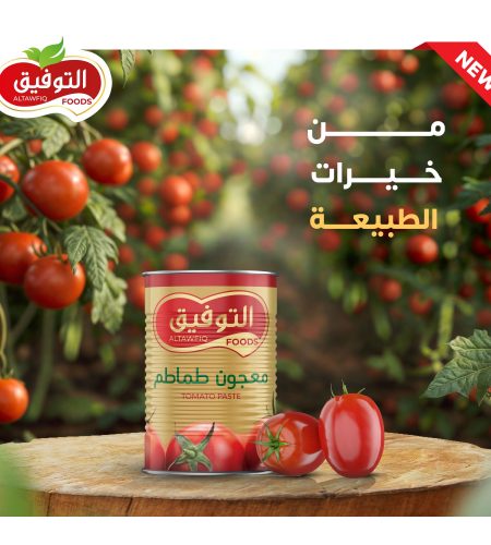 معجون الطماطم